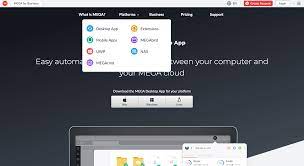 I have a pro membership and still can't download pfd files. How To Download Large Mega Files More Than 1 Gb Marketedly