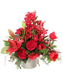 Since opening, we have become the. Aizfx38thghv M