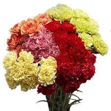 Where to buy cheap roses online. Amazon Com 100 Assorted Carnations Fresh Cut Flowers Next Day Delivery Fresh Cut Format Carnation Flowers Grocery Gourmet Food