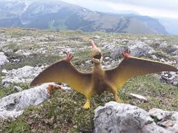 Ticker-Basislager 12