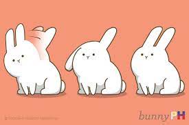 We have her in a cage for now with a corner litter is it because of the texture of the bedding in the box? Bunny Language Bunny Ph