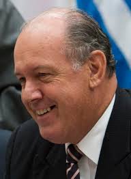 David Johnston (Australian politician)