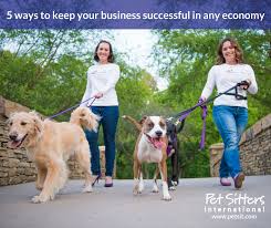 From the car ride to and the noise and busy pace. Pet Sitting Success Pet Sitting Business Tips