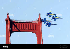 Image result for Blu By You 2018 Fleet