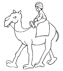 The average life expectancy of a camel is 60 to 70 years old. Top 25free Printable Camel Coloring Pages Online