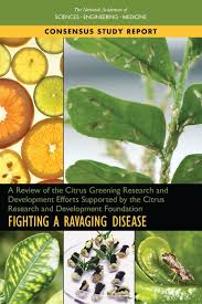 A Review Of The Citrus Greening Research And Development Efforts Supported By The Citrus Research And Developme Citrus Greening Research And Development Citrus