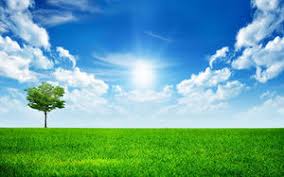 Gambar gratis rumput hijau langit pemandangan alam pagar. Download 750 Koleksi Background Hijau Langit Terbaik Download Background