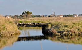 Panoramio Photo Of Olonne Sur Mer Depuis Les Marais Vendee Loire Photos