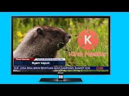 Cara Membuat Running Teks Seperti Di Tv Menggunakan Kinemaster Pro Youtube Bikini Teks