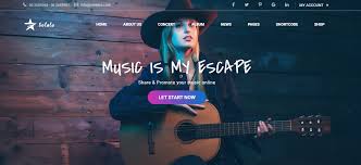 Sitio web musical para cantante