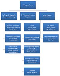 About Organization Chart