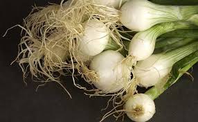 9 Vegetales Y Hierbas Que Puedes Plantar Despues De Comerlas Y Volveran A Crecer Siempre Sembrar Cebolla Hierbas Cultivar Cebolla