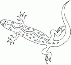 A pop of color will bring this printable coloring pack to life. Reptiles Amphibians Coloring Pages Hubpages