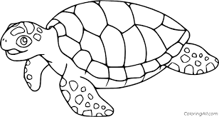 The two are out in the air, so they have grass and flowers around them. Very Simple Turtle Coloring Page Coloringall