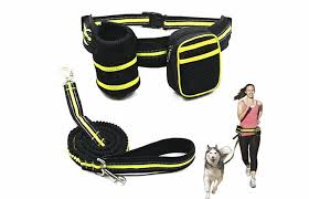 Cinturón de seguridad mascotas variedad de colores tm: Tipos De Correas Para Perros Toppercan