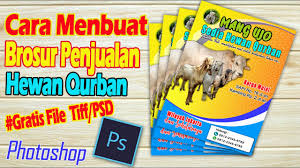 Fakta dan opini dalam iklan baris. Cara Membuat Brosur Untuk Penjualan Hewan Qurban Youtube