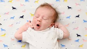 Your Baby 2 Weeks Old Today S Parent