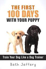 Dog Training Info Be Consistent When Training Your Dog S Training If Several Relative Is Training You Puppy Training Training Your Dog House Training Puppies