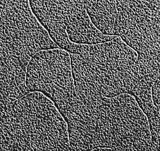 Good things come in small packages. Ff Phages Wikipedia