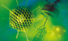 Author page based on publicly available paper data. How Embl Alumni Created A Groundbreaking Vaccine Technology Embl