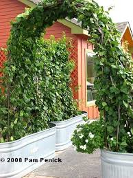 Check spelling or type a new query. Pin On Green Thumb Gardens Landscaping