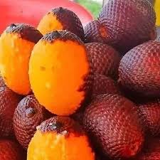 Image result for Chironia flexuosa