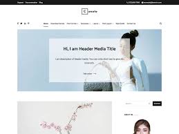 All from our global community of web developers. 35 Best Free Wordpress Blog Themes 2021 Athemes