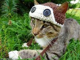 Artist Creates Colourful Collection Of Hats For Cats That You Just Can T Help But Smile At Hats For Cats Crochet Cat Cat Dog Costume