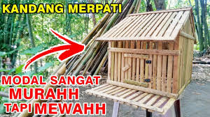Dalam satu kandang bisa diberi dua atau tiga tempat biar burung memilih sendiri mau bersarang di mana. Cara Membuat Kandang Burung Merpati Youtube