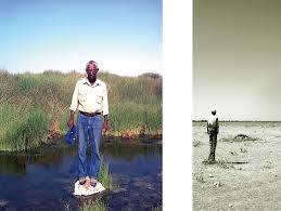 Image result for Walleria nutans