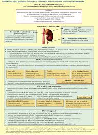 Thereby reducing renal perfusion (hypovolemia, shock, hemorrhage, burns impaired cardiac output, diuretic therapy). Renal Failure And Its Treatment Sciencedirect