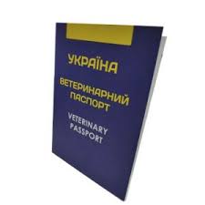 images?q=tbn:ANd9GcSuY08u_SXUB0TIa24VNf5