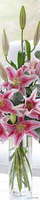 Pin By Sharyl Bussen On Flower Power Flower Delivery Flowers For Everyone Beautiful Flowers