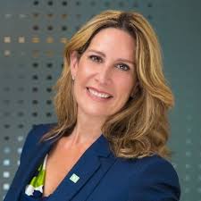 Damien MENIGAUX Email & Phone Number