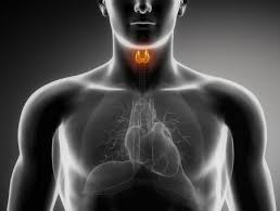 Quels sont les sympt?mes d'un probl?me de thyroide ?. Hypothyroidie Symptomes Traitements Et Prevention Doctissimo