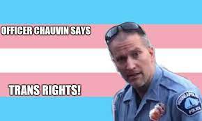 It will be published if it complies with the content rules and our moderators approve it. Officer Chauvin Says Trans Rights Teenagers