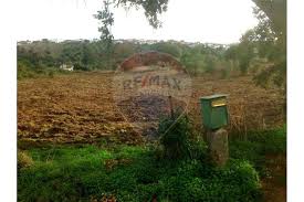 Montargil, ponte de sor, portalegre. Land For Sale Montargil Ponte De Sor 125161004 423