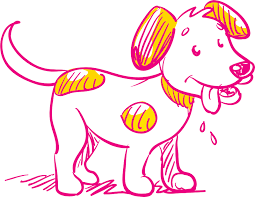 A simple search such as mobile pet grooming near me will take you to us! Shampooch Dog Grooming In Dubai