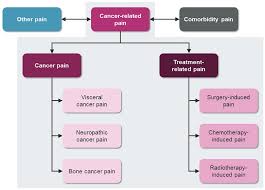 Image result for Cancer Pain