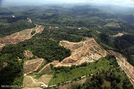 Official maps of logging, oil palm and wood fiber concessions for sarawak are hard to come by; The Good The Bad And The Ugly In Palm Oil Commentary