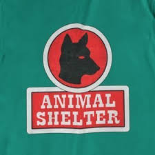 We did not find results for: Homeward Bound T Shirt Animal Shelter Men Unisex Bitdeck