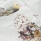 Everlasting Dried Flowers Workshop event image