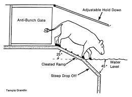 Check spelling or type a new query. The Design And Construction Of Facilities For Handling Cattle