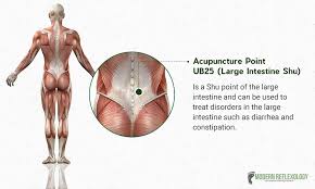 Pin On Acupuncture