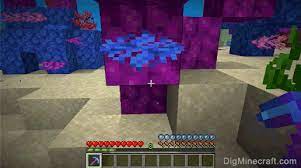 We did not find results for: How To Make A Tube Coral Fan In Minecraft