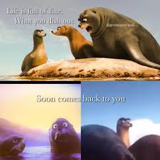 Dumb Bird From Finding Dory See This Instagram Photo By Geraldsgreenpail 478 Likes Disney Fun Funny Pictures Funny Memes