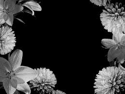 You can also upload and share your favorite black flowers wallpapers. Black Flowers Wallpapers Wallpaper Cave