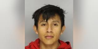 Deputies arrest Gainesville man