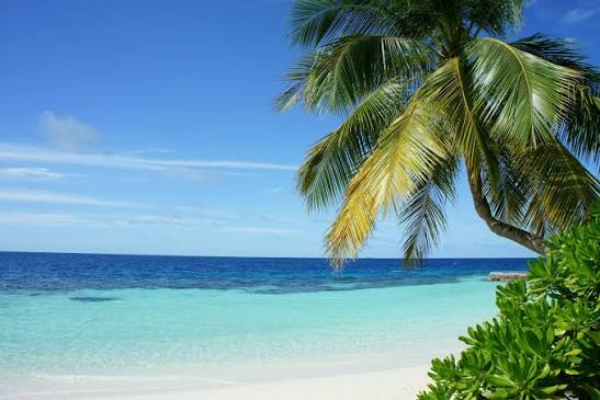 Caribbean Beach Pictures | Download Free Images on Unsplash