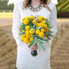 Maybe you would like to learn more about one of these? Buy Huaesin 30pcs Natural Dried Flowers Craspedia Billy Balls Flowers Dried Billy Buttons Floral Bouquet For Arrangements Wedding Home Tall Vase Decor Yellow Online In Indonesia B085c639wp
